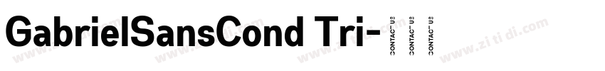 GabrielSansCond Tri字体转换